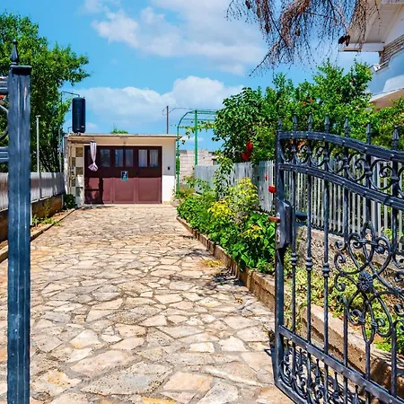 Blue Swan - - - Netflix *