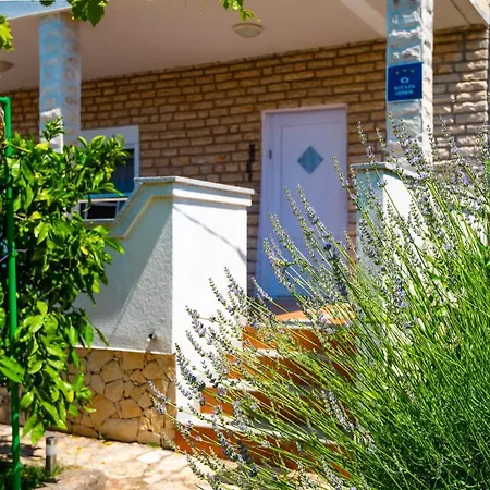 Blue Swan - - - Netflix