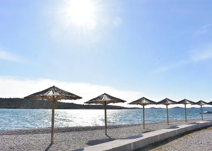 Blue Swan - - - Netflix 피로바츠