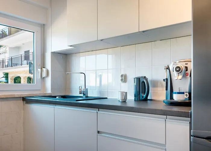 Blue Swan - - - Netflix Pirovac