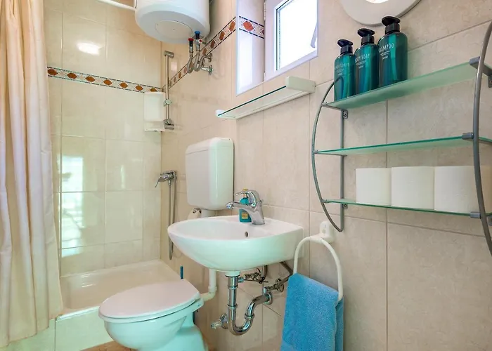 Blue Swan - - - Netflix