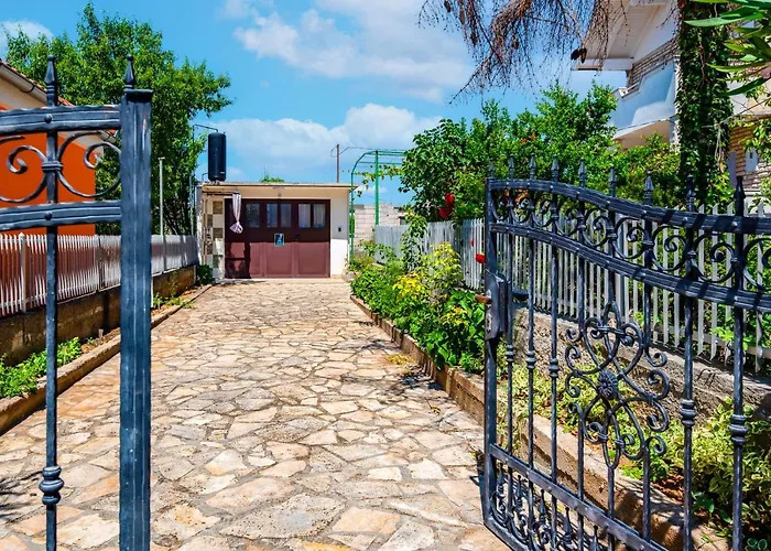 Blue Swan - - - Netflix *