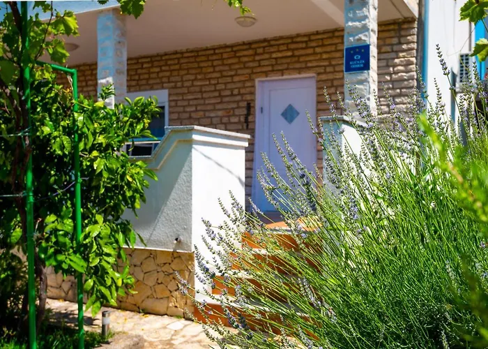 Blue Swan - - - Netflix